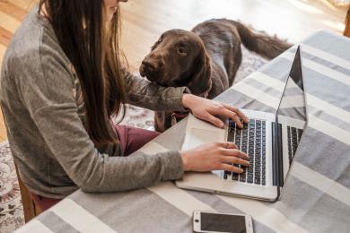 Ďalšie tipy, ako doma zabaviť maznáčika