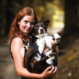 Ako naučiť psa počúvať? Odmeňujte a chváľte.