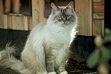 Príchod na zavolanie