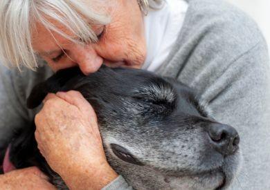 Starosť o staršie psy: Ako im zaistiť šťastný vek?