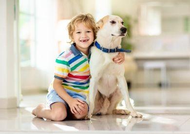 Psy a deti – dôležité informácie pre spoločný život