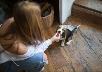 Kŕmenie na cestách: Ako sa pripraviť na cestovanie?