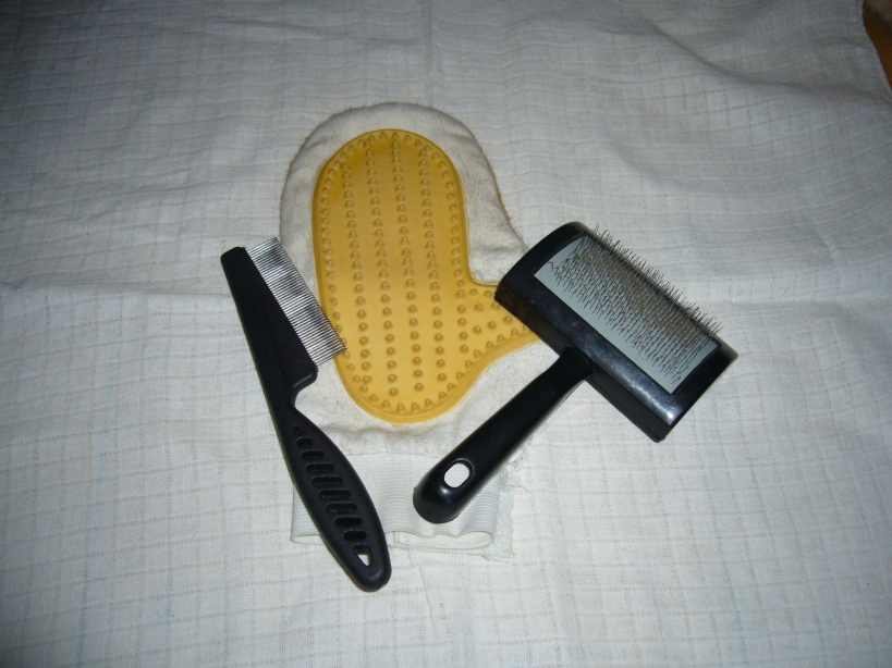 Starostlivosť o nášho mačacieho kamaráta