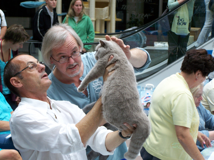 Medzinárodná výstava mačiek v Brne
