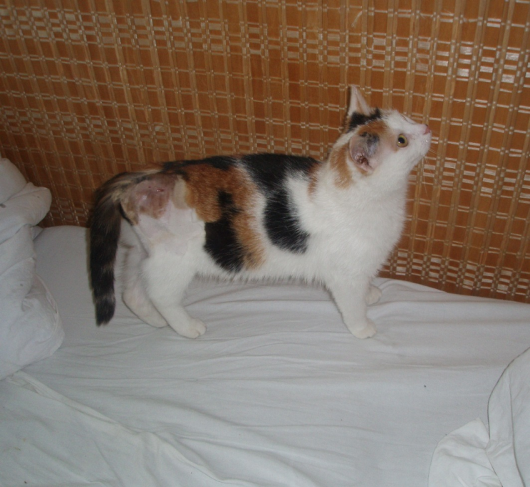 Mili prosí o pomoc ...