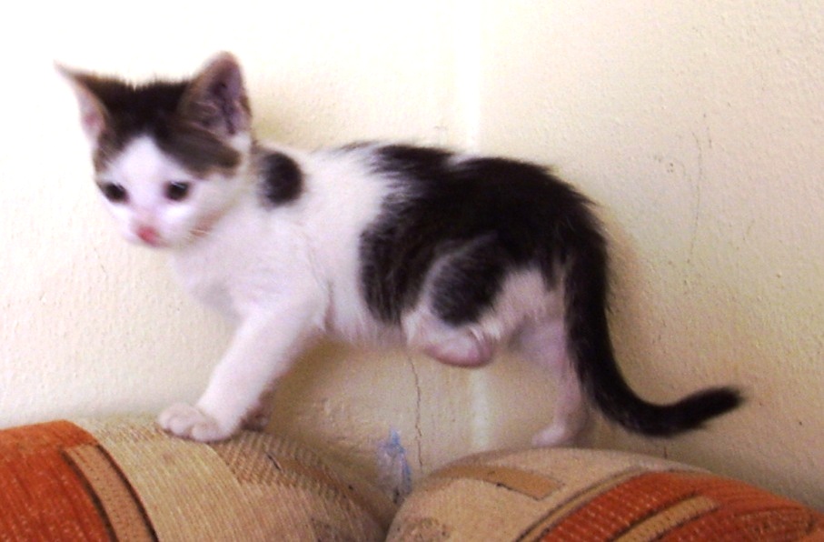 Prosba o pomoc v núdzi