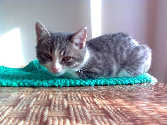 Celorepublikové dni otvorených depozit - 31.7.- 8.8.2010