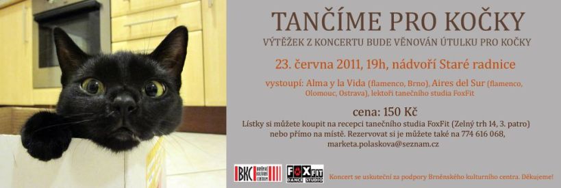 Benefičný tanečné predstavenie v prospech Mačky SOS Hodonín