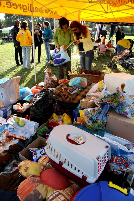 Pozvánka na SVETOVÝ DEŇ ZVIERAT