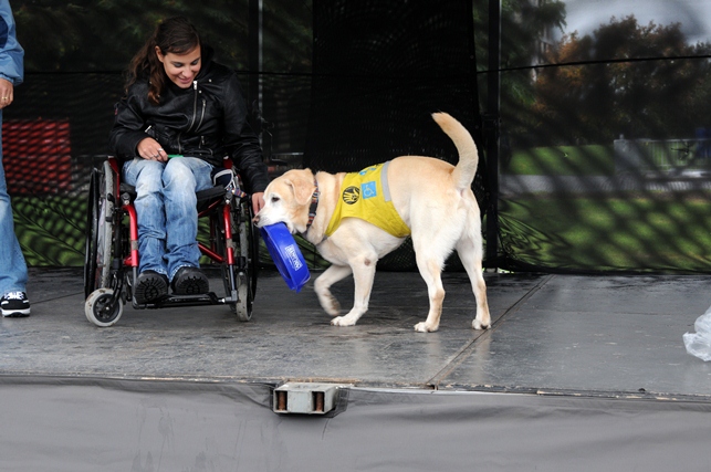 Oslava Svetového dňa zvierat
