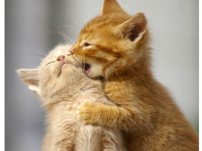 Kto sa hrá, nehnevá ...