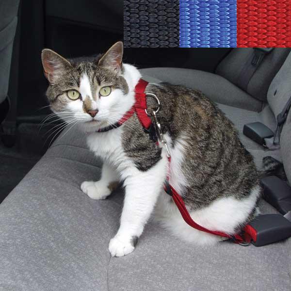 Ako za hranice so zvieratami v roku 2012?