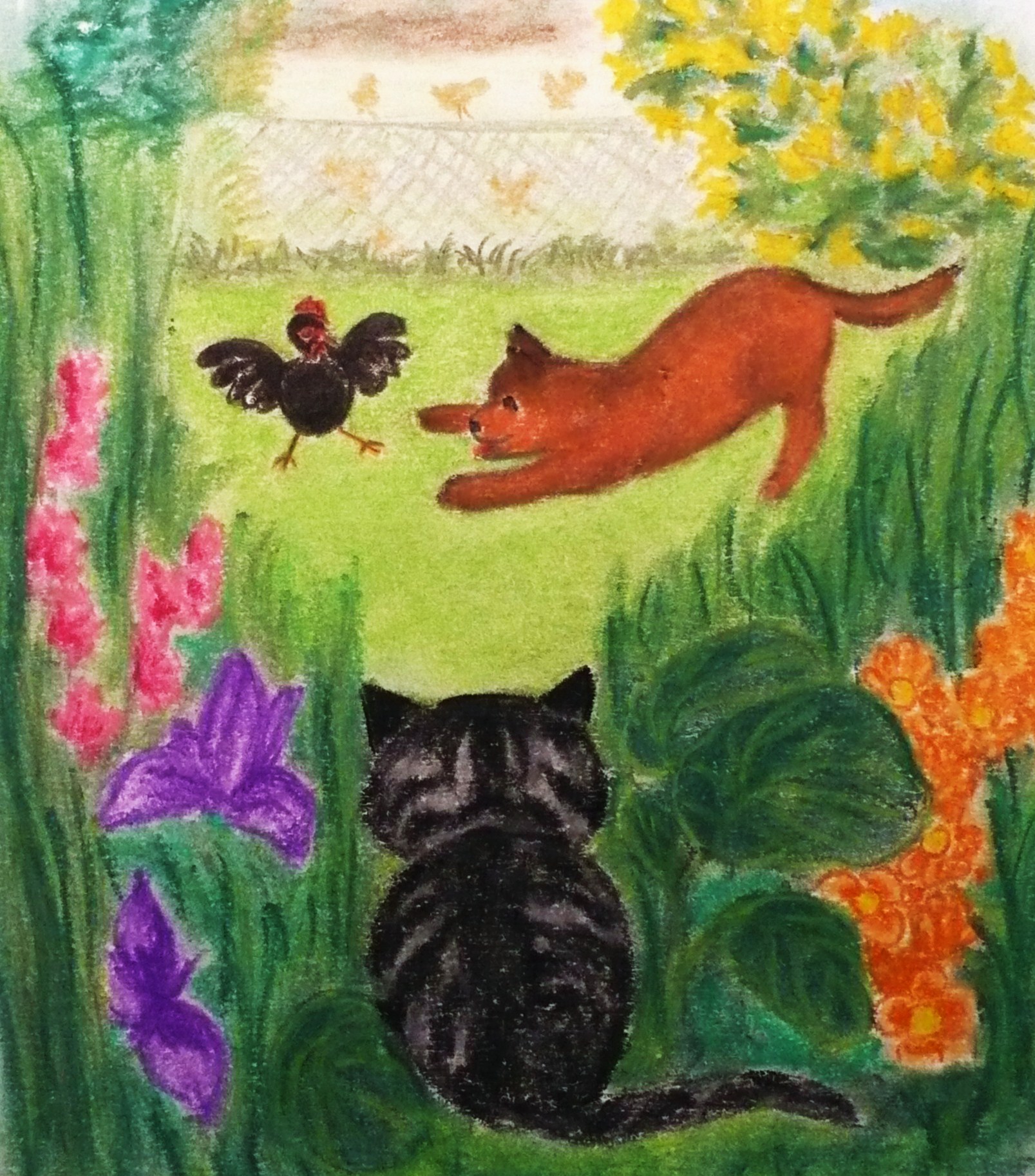 Malé mačiatko v novom domove