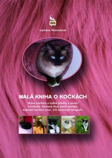 Tip pre priaznivcov mačiek