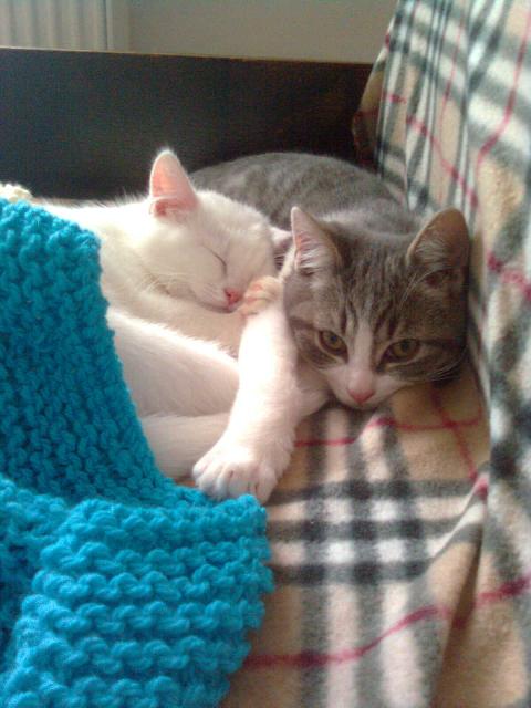 Čo je potrebné vedieť pri zdravotnej diagnostike?