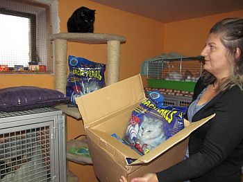 Milión a štvrť pre mačky bez domova