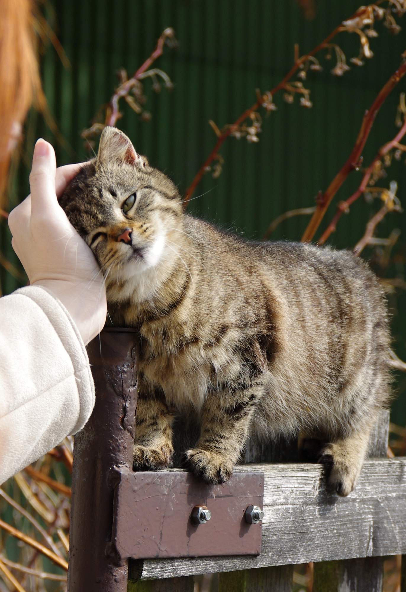 Desatoro dôvodov, prečo nezanedbať ochranu pred vnútornými parazitmi