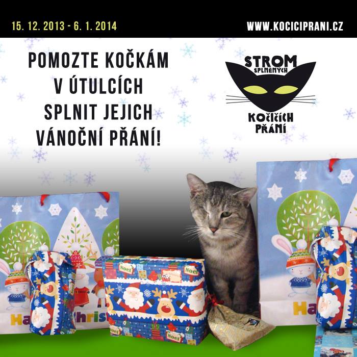 Strom splnených mačacích želanie - misia Vianoce 2013