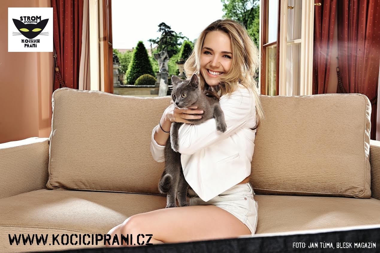 Mačací želanie s podporou Lucie Vondráčkovej prekonáva tisíc obdarovaných mačiek