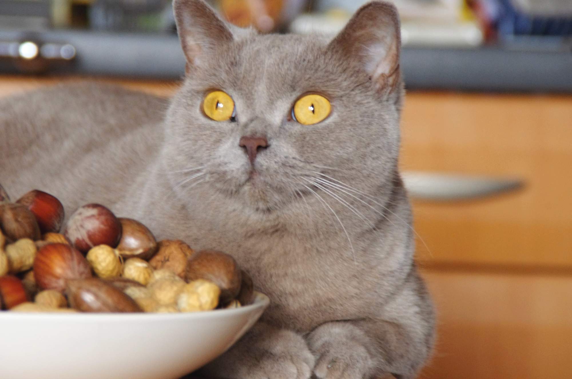 A zase to odčervovanie