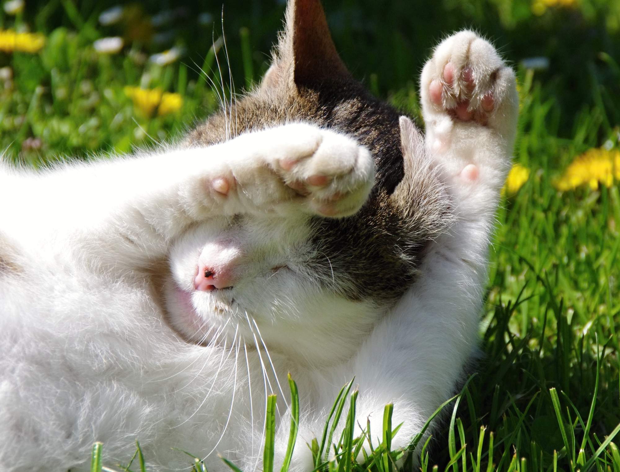 nepríjemné bodnutie