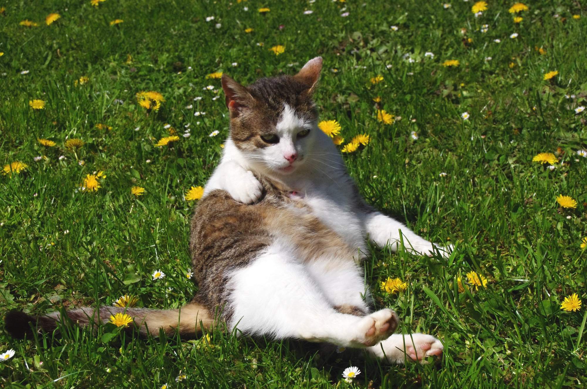 Aktivita kliešťov dosahuje vrchol