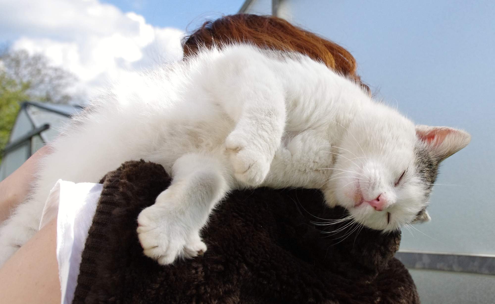 Pozvánka na veľtrh