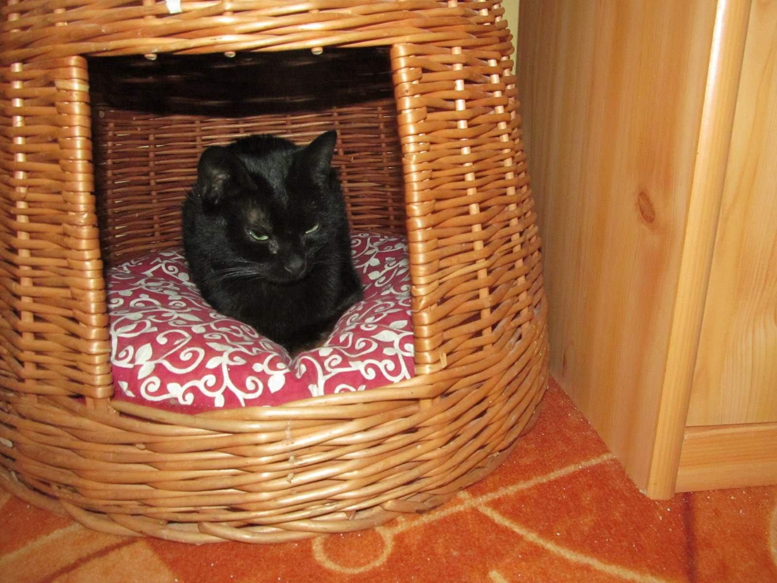 Boříčkův príbeh