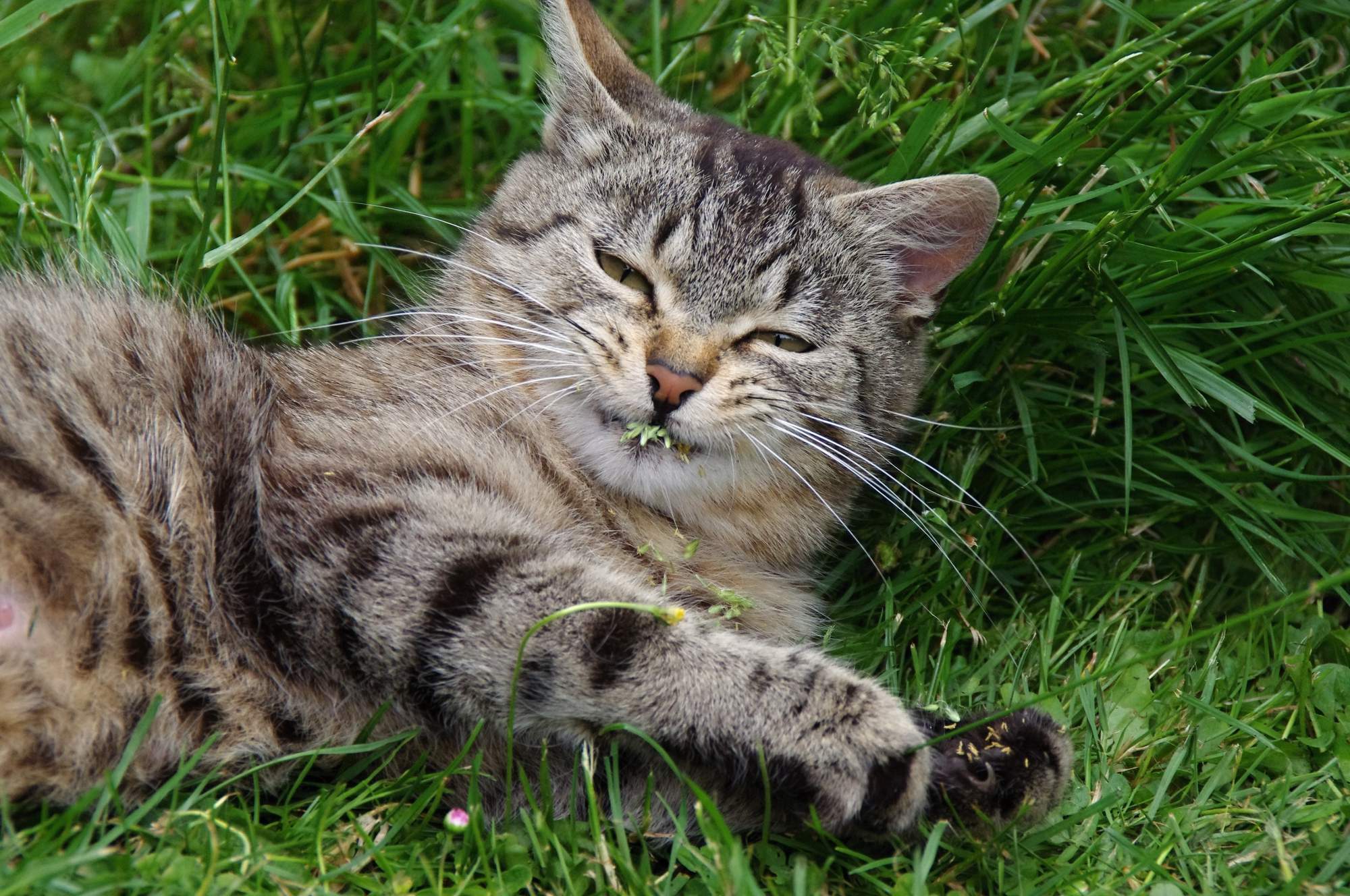 Mastitída - šetrná pomoc