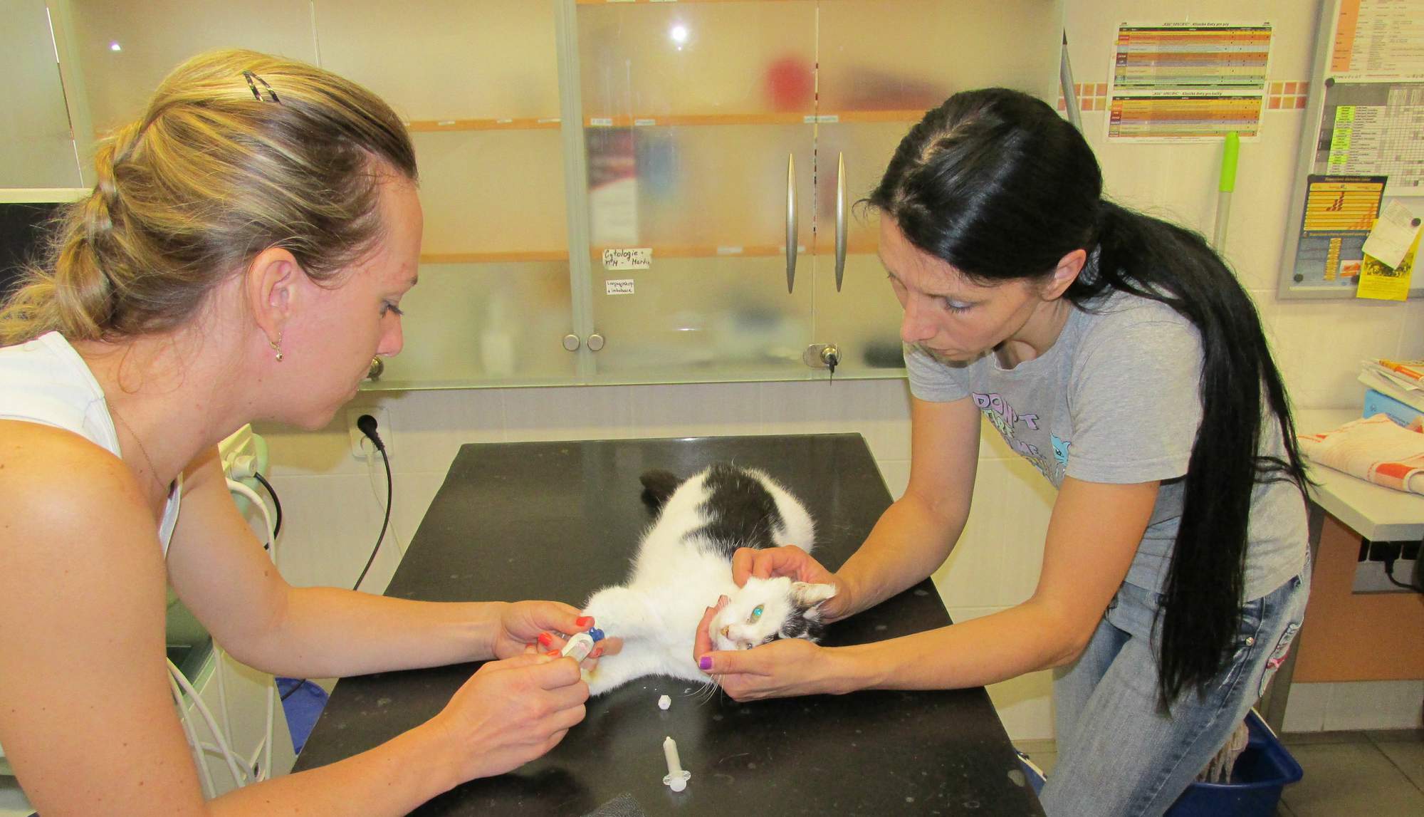 Rozlúčka s Osvaldíkem