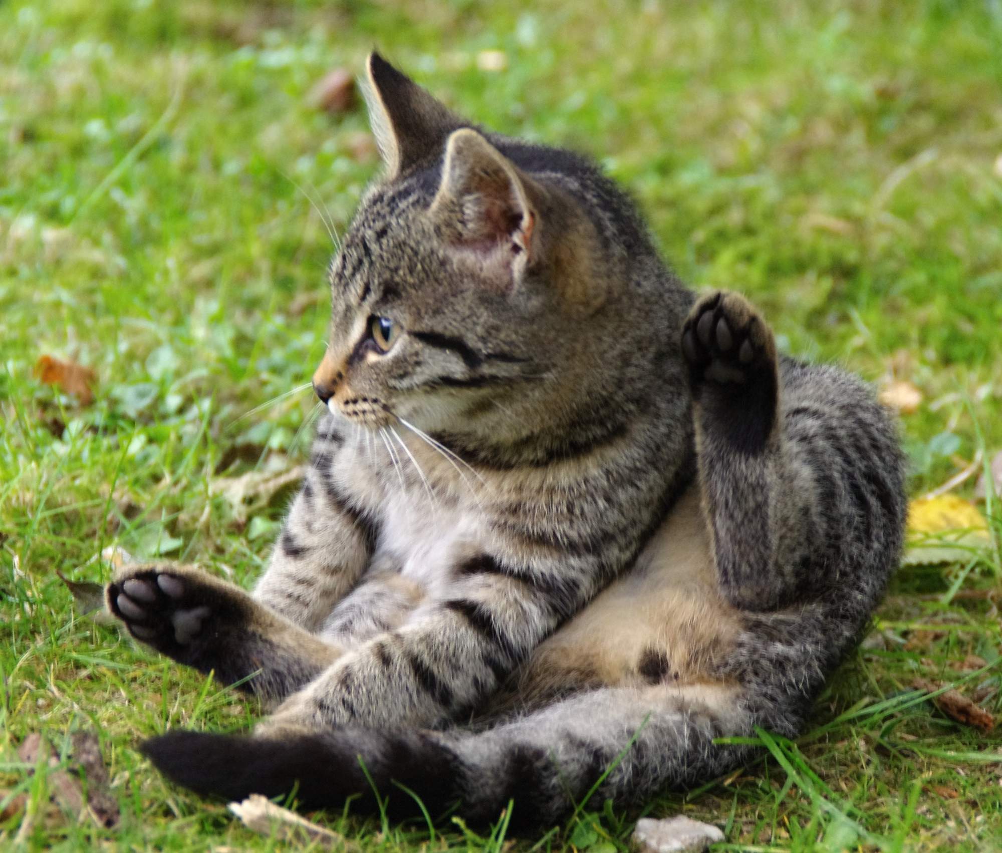 Keď ono tak smutne pozerá