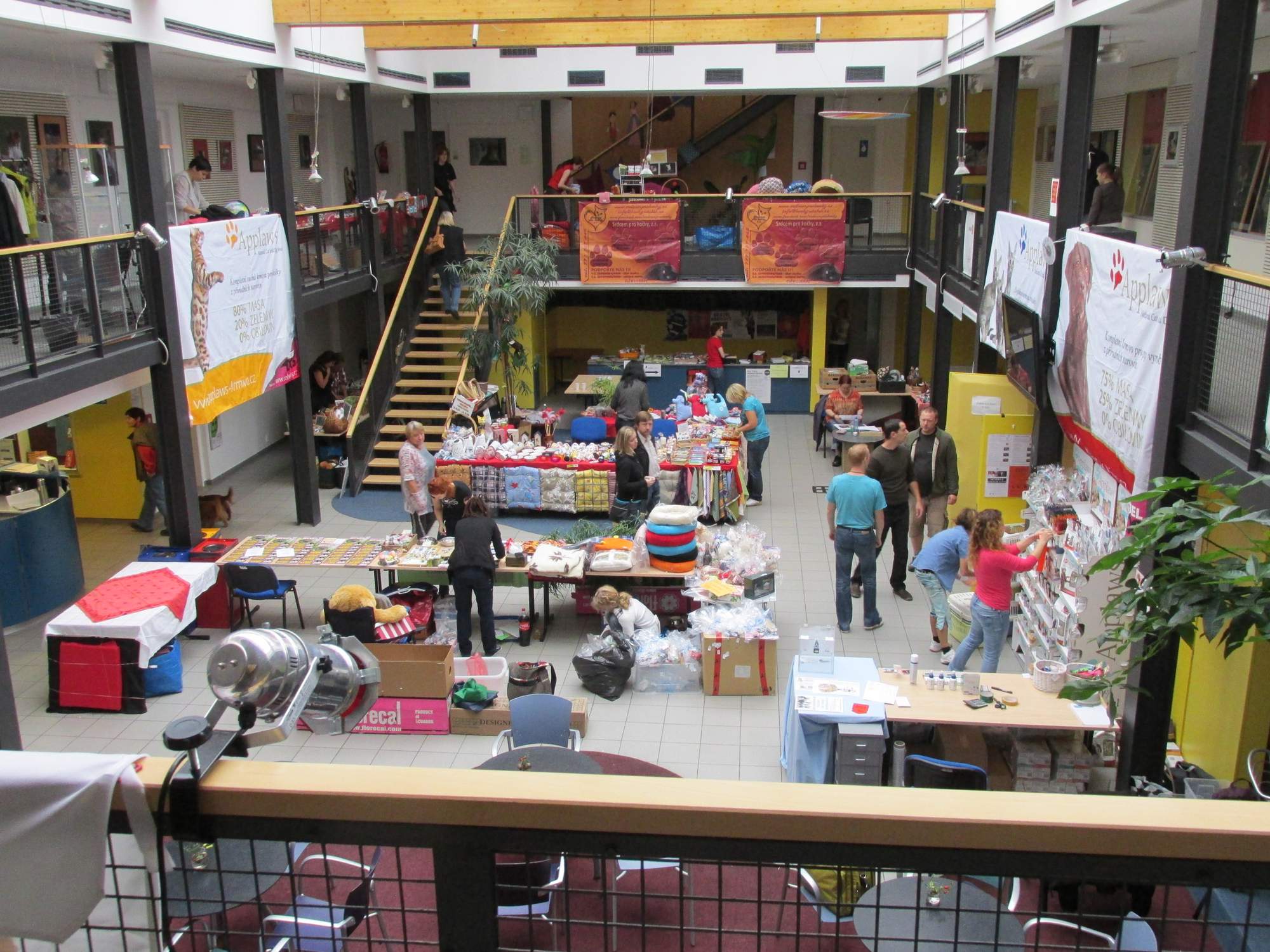 Svatováclavská umiestňovacej výstava mačiek bez domova