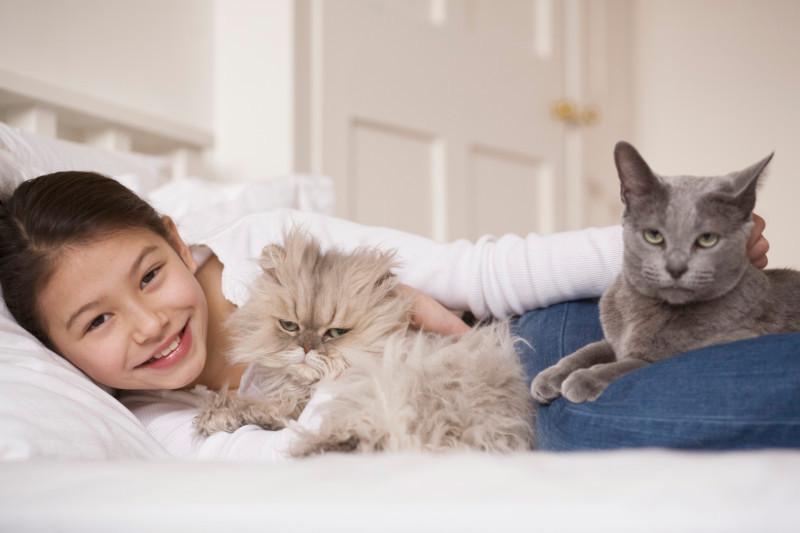 4 mýty o parazitoch