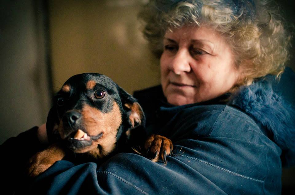 Predstavenie útulku - Azyl Gaia