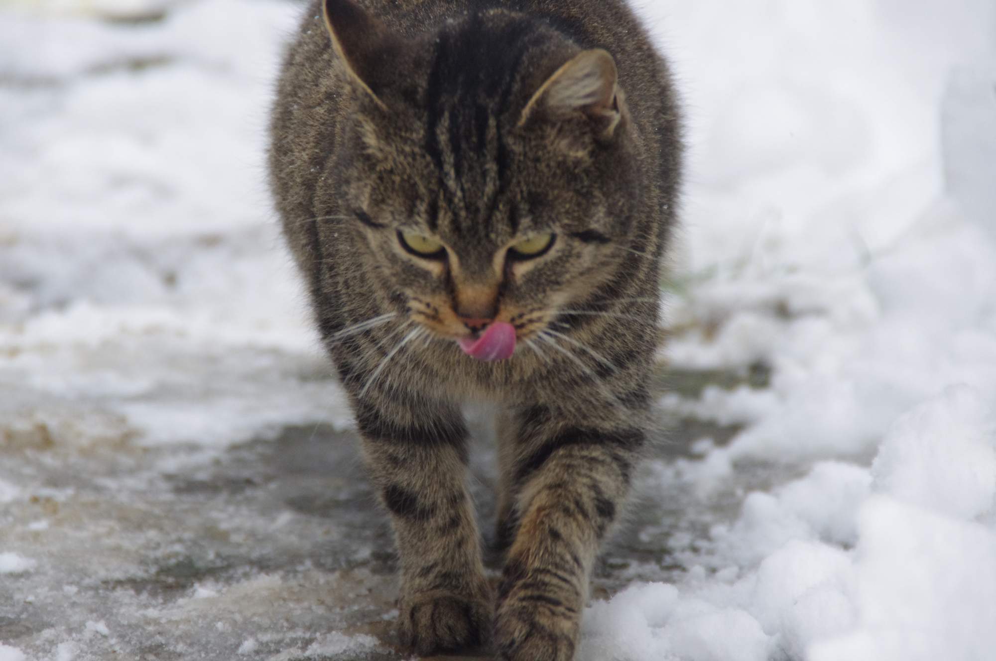 Zatočte s nadváhou