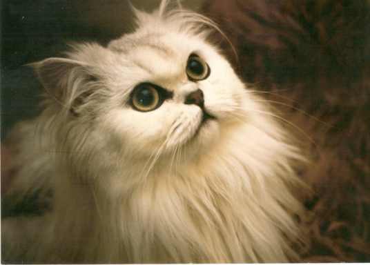 Sviatok všetkých zamilovaných