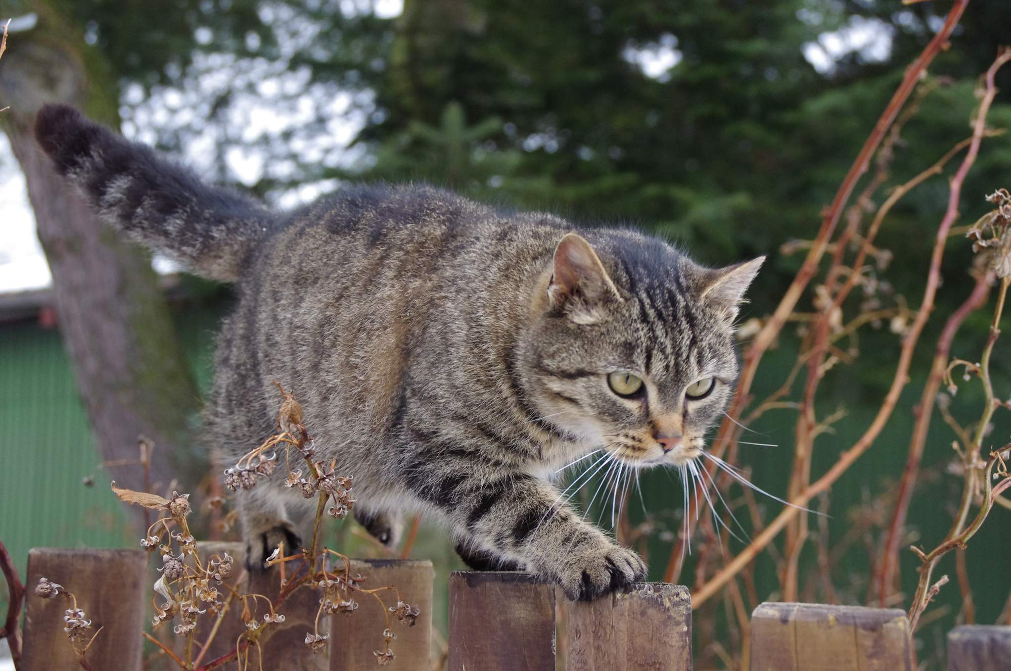 Šetrná liečba ochorenia kože