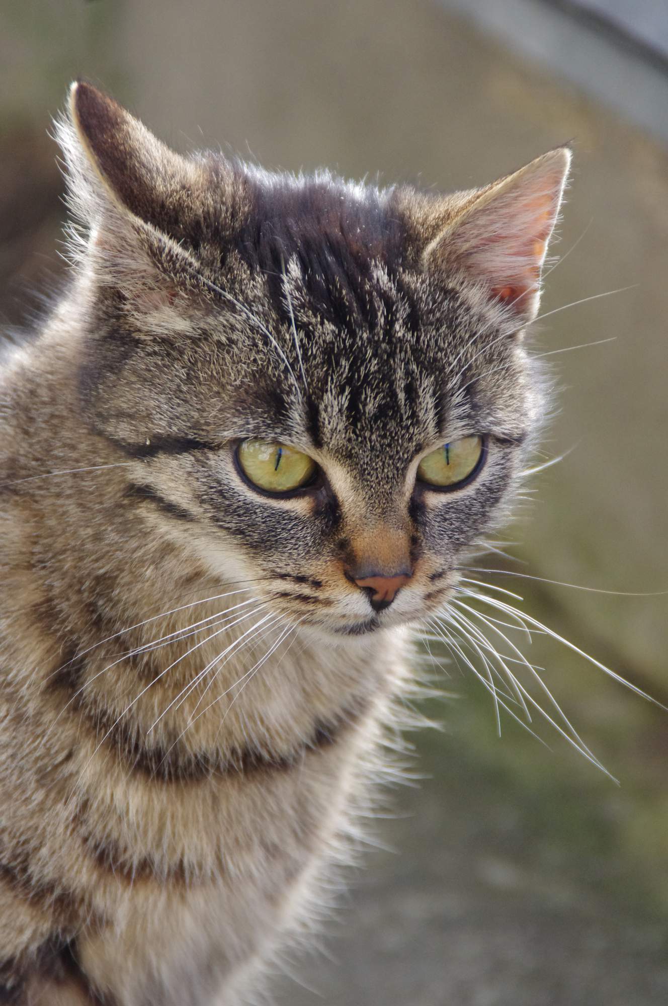 Nácvik na prepravku