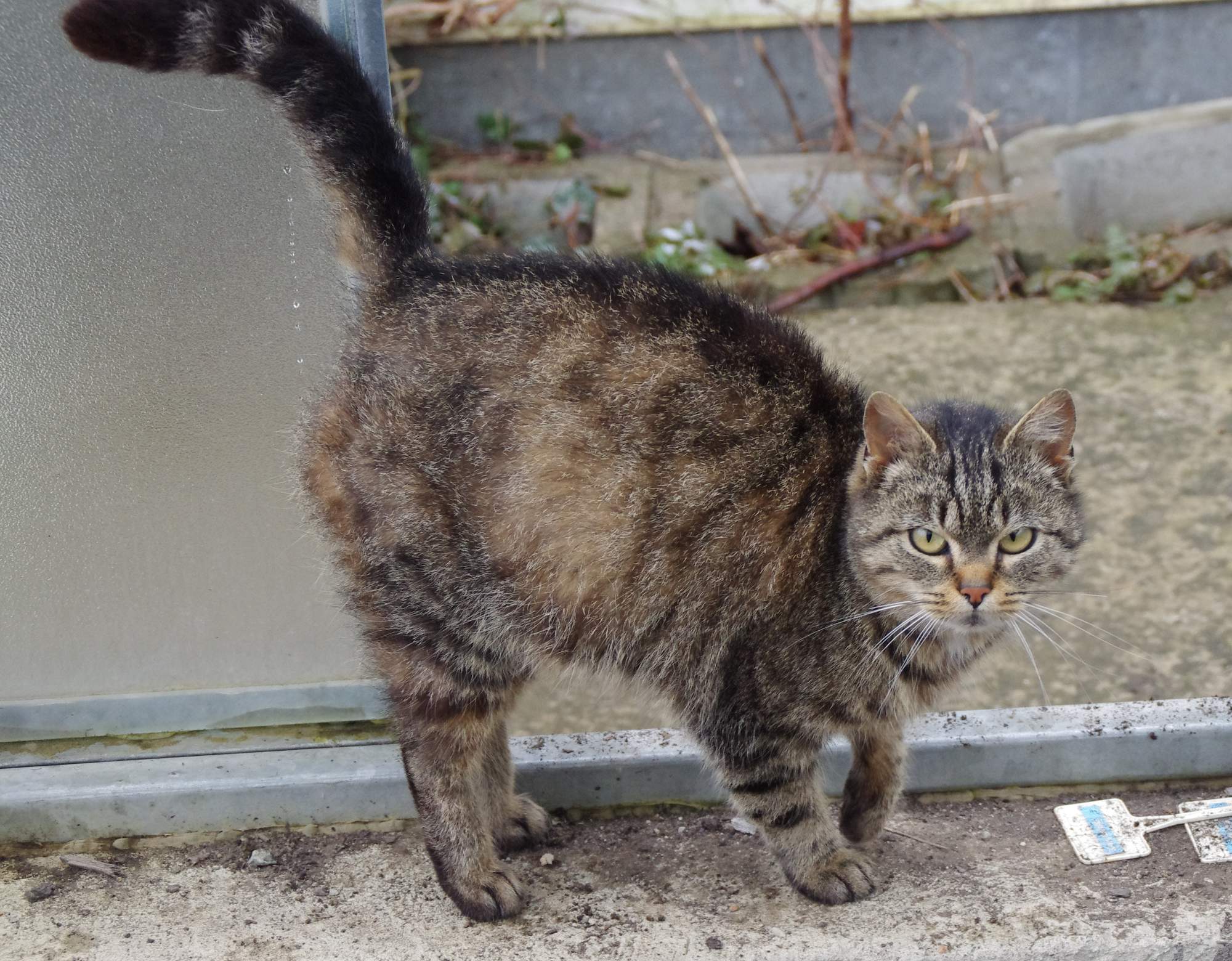 Prvé príznaky choroby