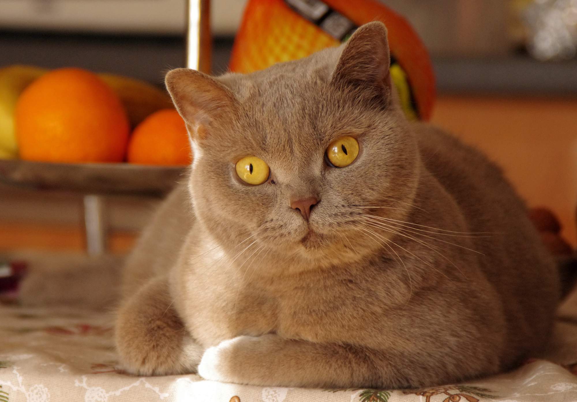 Prečo sa po operácii trasie?