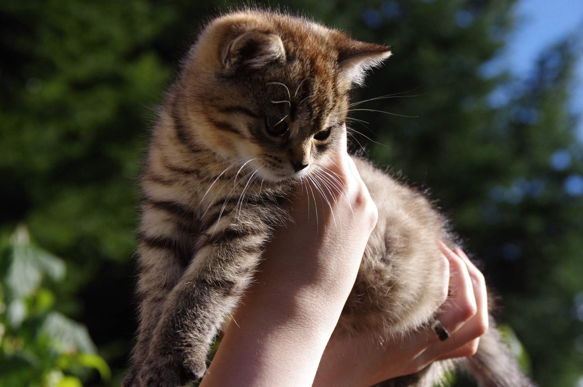 Jar klope na dvere, preto chráňte svojho maznáčika proti parazitom