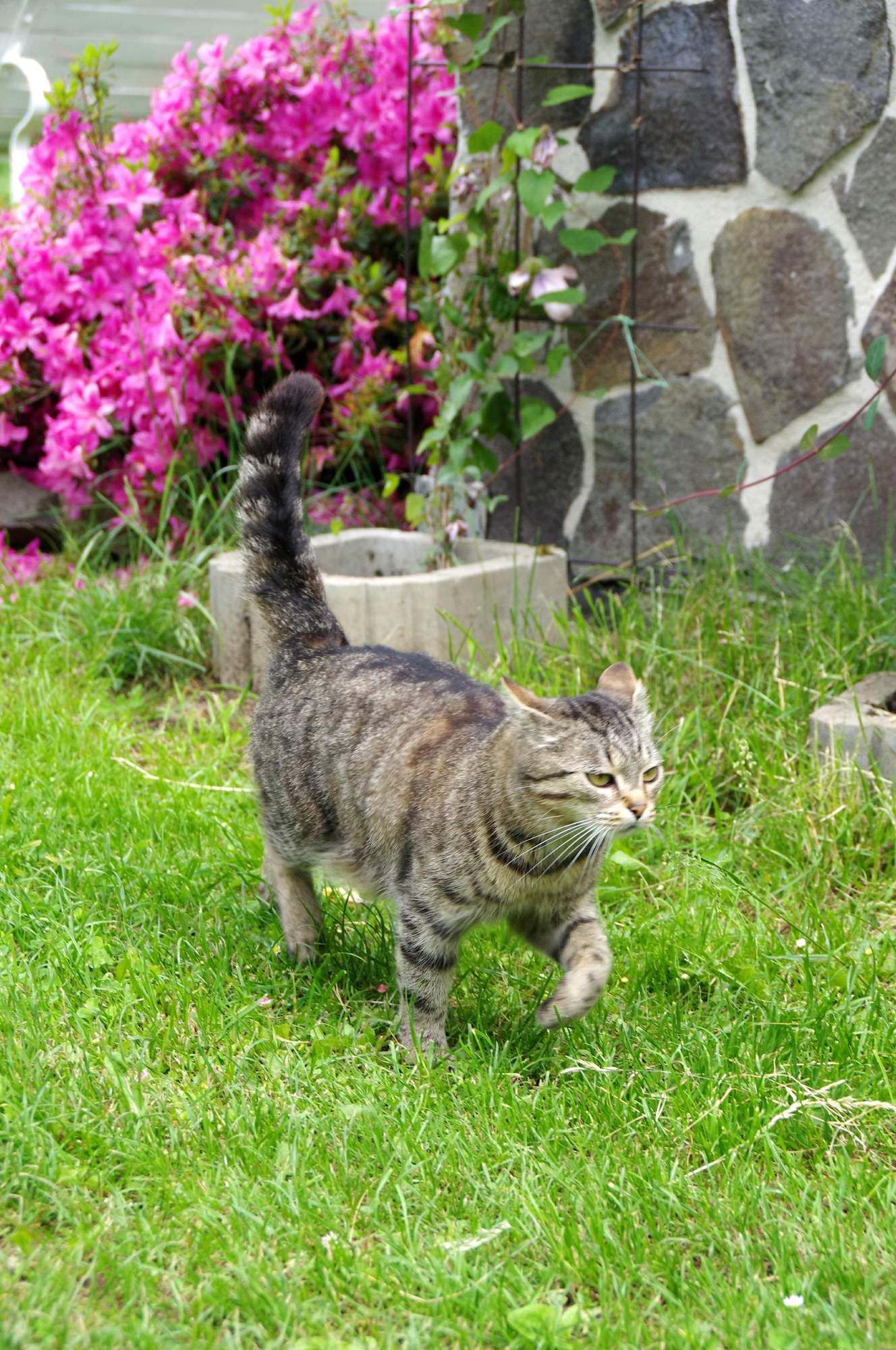 Čo zariadiť pred cestou do zahraničia?