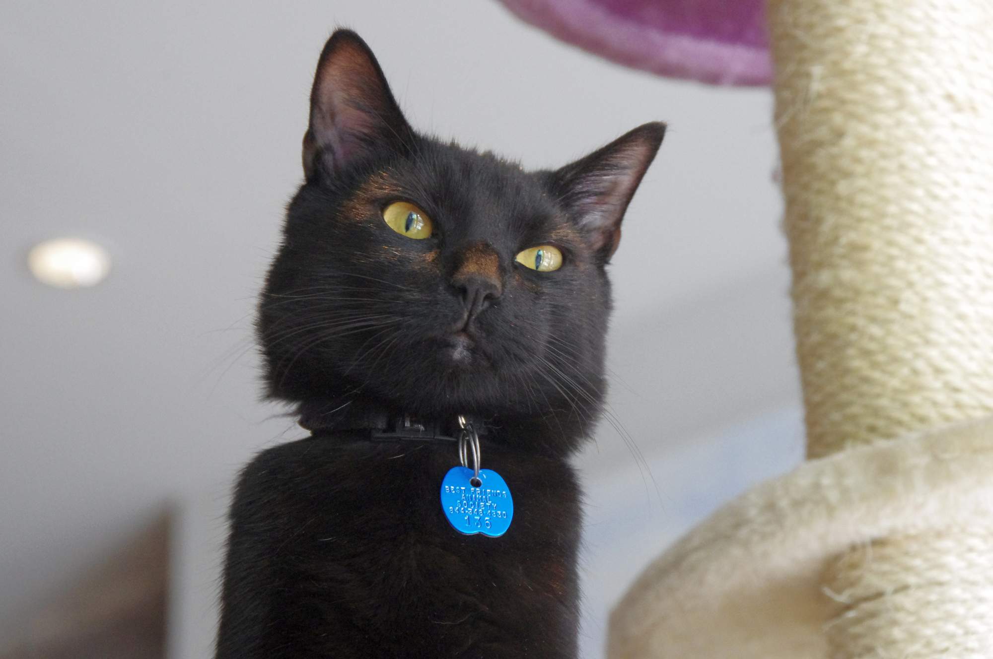 Stres z narodení dieťaťa