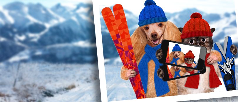 FOTOSÚŤAŽ - Kedy je váš pes alebo mačička najšťastnejší?