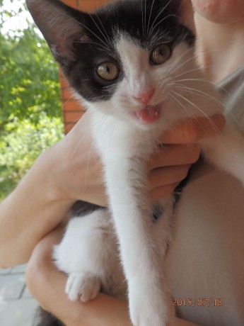 Predstavenie útulku - Dobré Ruky, o.s.