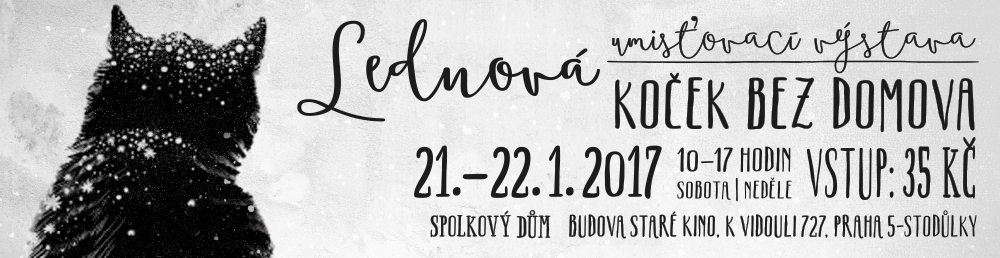 Pozvánka: Januárová umiestňovacej výstava mačiek bez domova