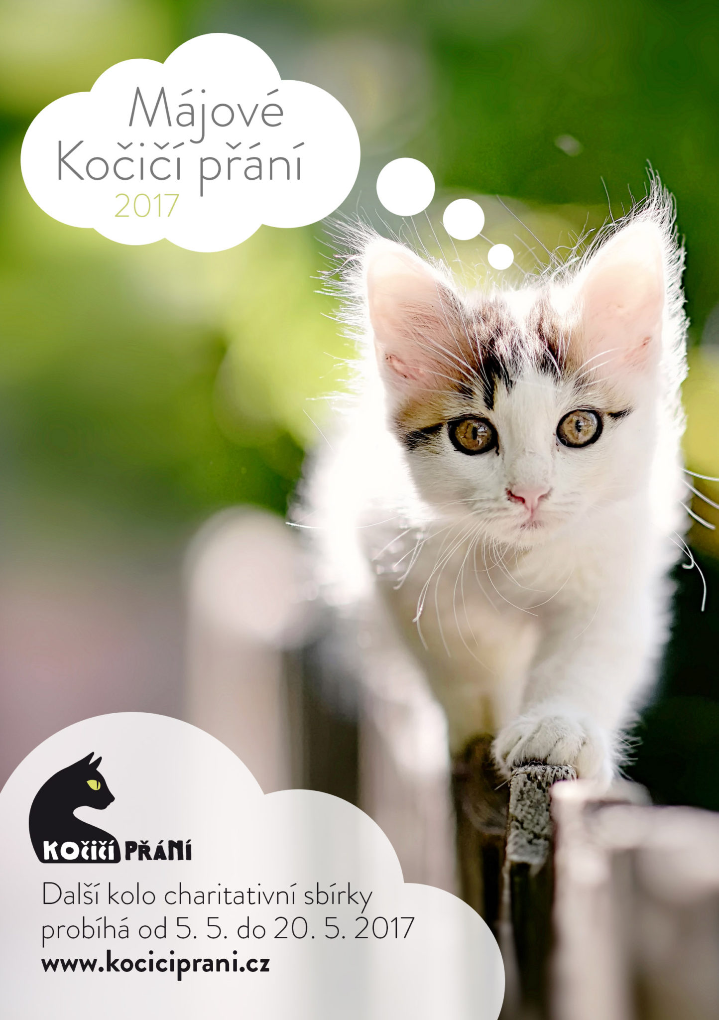 Dnes odštartovalo ďalšie kolo obľúbenej charitatívne zbierky Mačacie želania