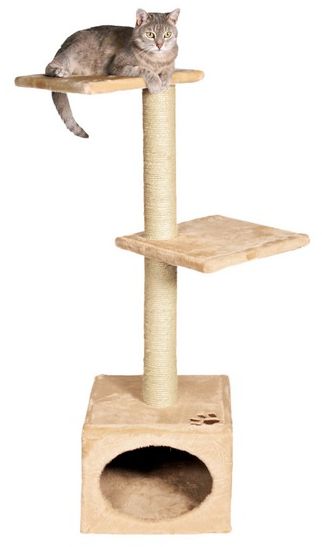 Škrabadlo je pre mačky nutnosť