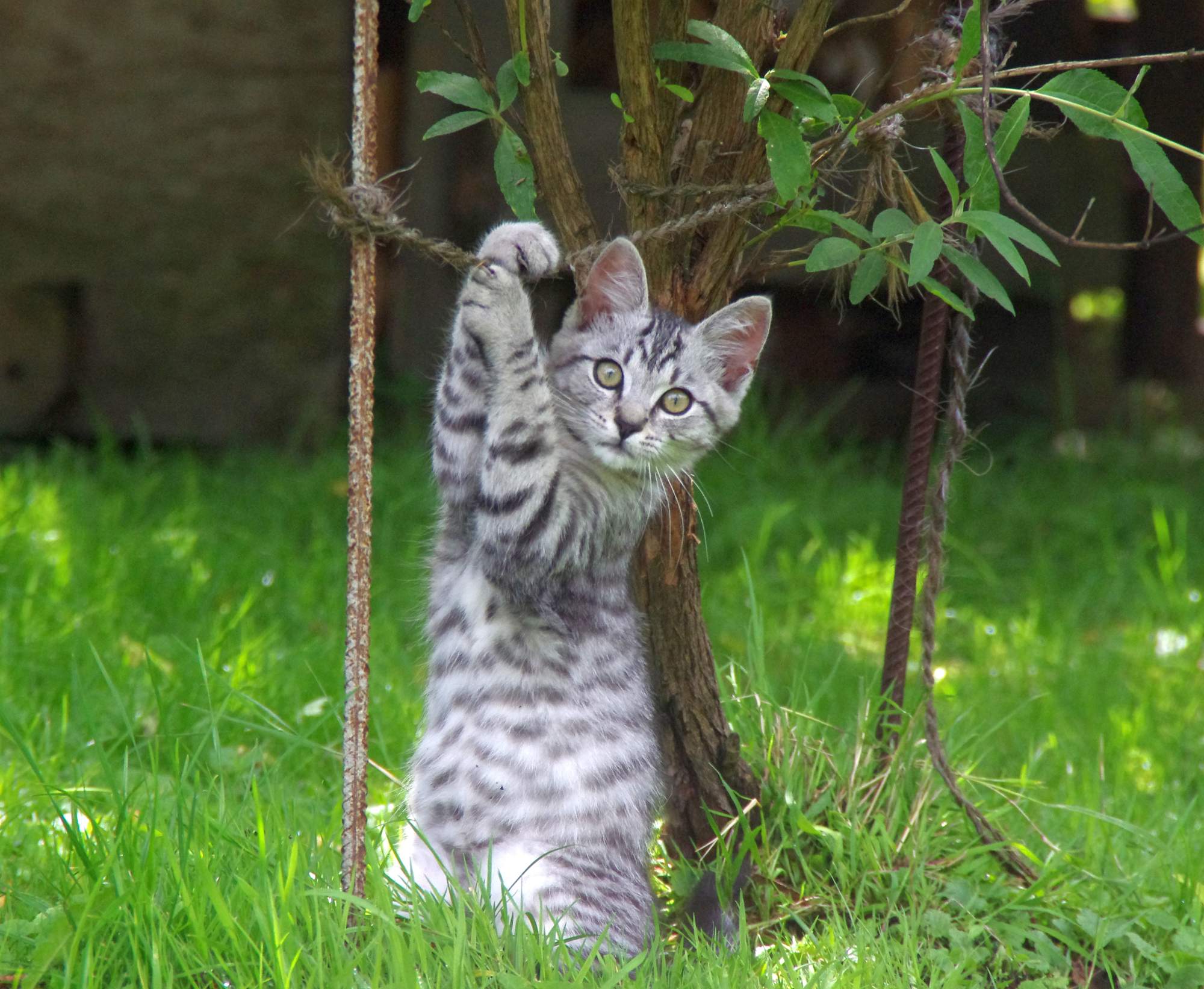 Vonkajšie, alebo bytová?