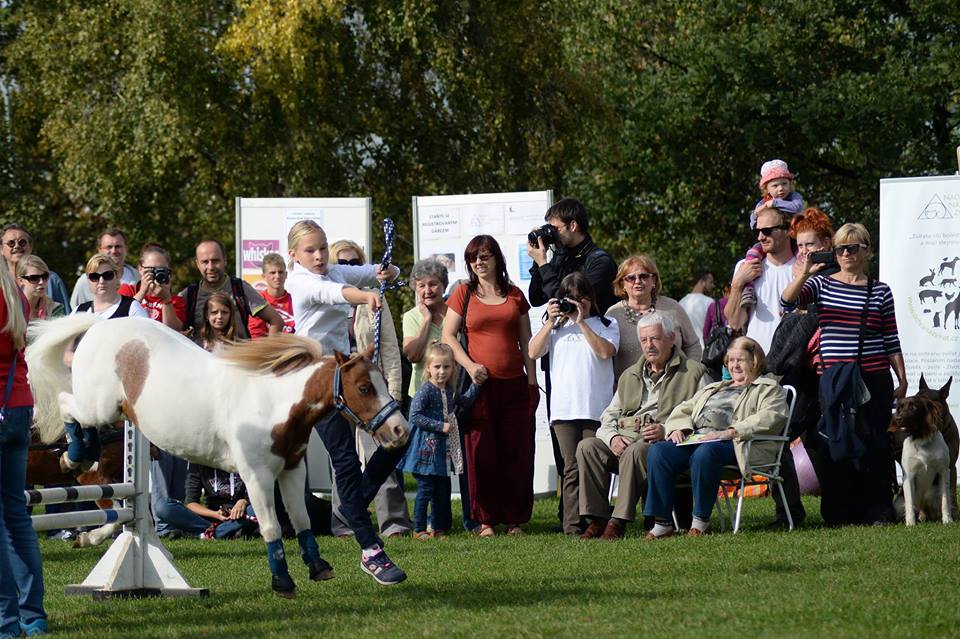 Pozvánka na Svetový deň zvierat 2017
